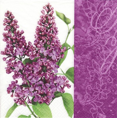 Purple lilac (E-2)
